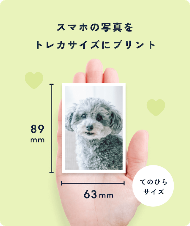 トレカサイズでかわいい！
